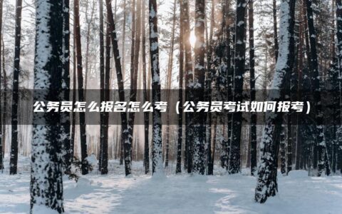 公务员怎么报名怎么考（公务员考试如何报考）