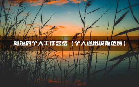简短的个人工作总结（个人通用模板范例）