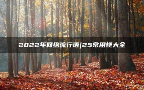 2022年网络流行语|25常用梗大全