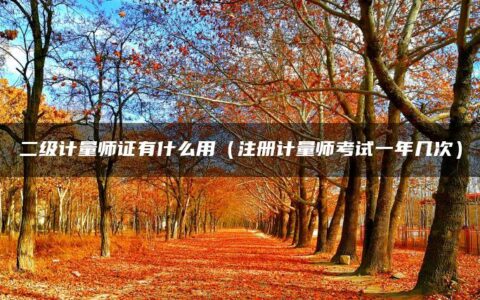 二级计量师证有什么用（注册计量师考试一年几次）