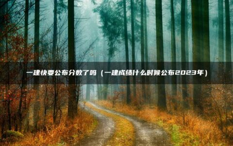 一建快要公布分数了吗（一建成绩什么时候公布2023年）