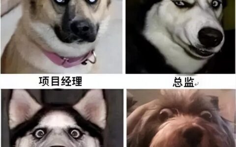 监理到底是干啥的（监理是做什么的）