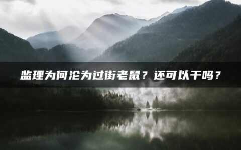 监理为何沦为过街老鼠？还可以干吗？