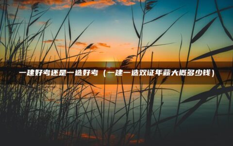 一建好考还是一造好考（一建一造双证年薪大概多少钱）