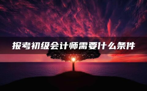 报考初级会计师需要什么条件