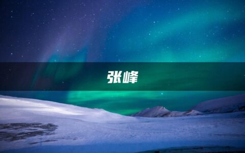 张峰二建辅导视频（全面的学习资源）