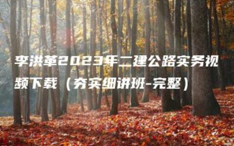 李洪革2023年二建公路实务视频下载（夯实细讲班-完整）