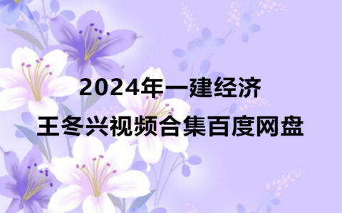 2024年一建王冬兴经济视频合集（一建视频课件百度网盘）