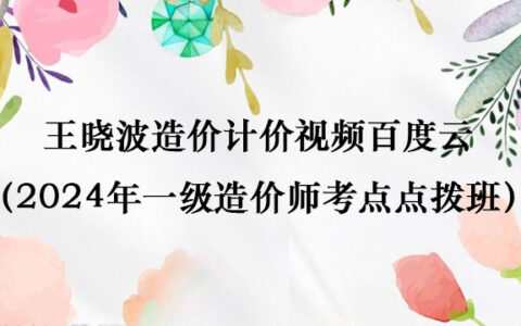王晓波造价计价视频百度云（2024年一级造价师考点点拨班全套）