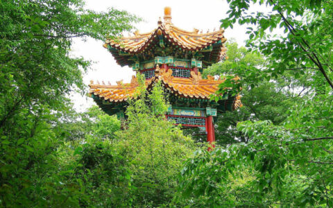 一建增项需要考几科？增项专业怎么选？