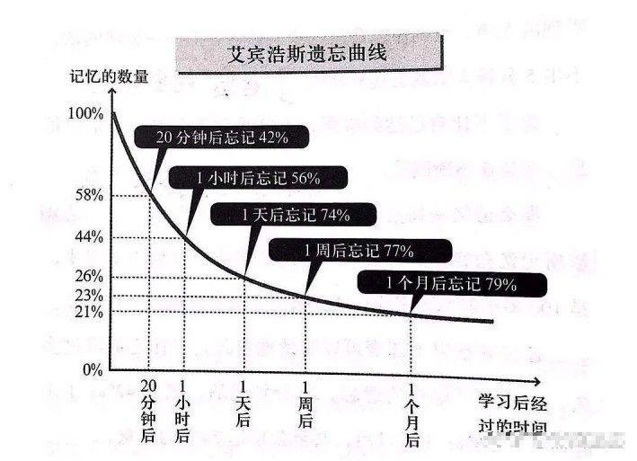 马红、王玮2024年一建建筑精讲视频讲义