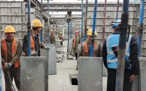 项目管理人员是如何被逼疯的