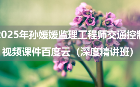 2025年孙媛媛监理工程师交通控制视频课件百度云（深度精讲班）