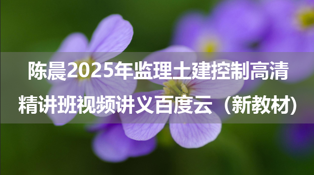 陈晨2025年监理土建控制高清精讲班视频讲义百度云（新教材)