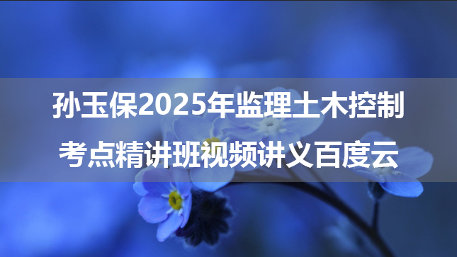 孙玉保2025年监理土木控制考点精讲班视频讲义百度云