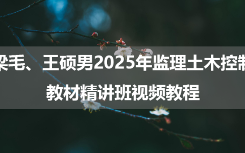 梁毛、王硕男2025年监理土木控制教材精讲班视频教程
