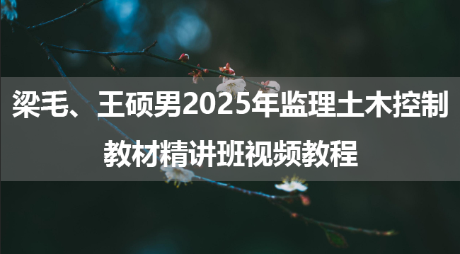 梁毛、王硕男2025年监理土木控制教材精讲班视频教程