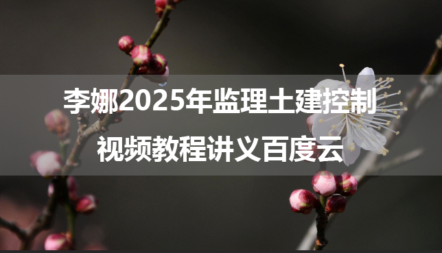 李娜2025年监理土建控制视频教程讲义百度云（基础精讲班-新教材）