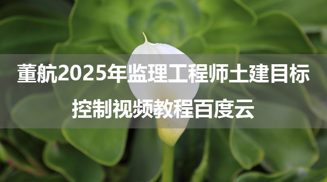 董航2025年监理工程师土建目标控制视频教程百度云