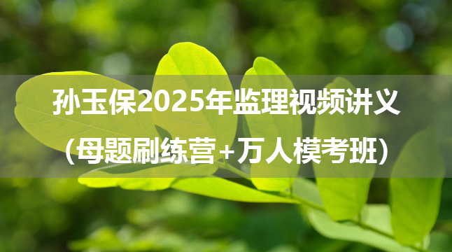 孙玉保2025年监理法规概论视频讲义（母题刷练营+万人模考班）