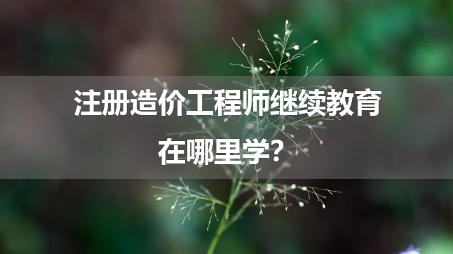 注册造价工程师继续教育在哪里学？