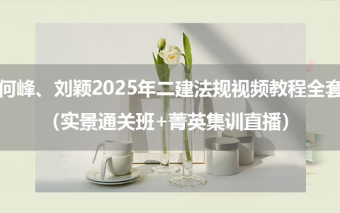 何峰、刘颖2025年二建法规视频教程全套（实景通关班+菁英集训直播）