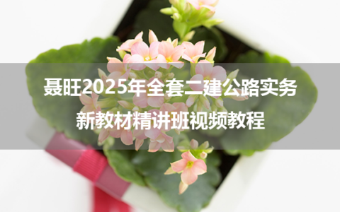 聂旺2025年全套二建公路实务新教材精讲班视频教程