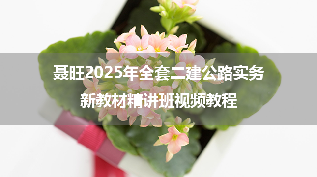 聂旺2025年全套二建公路实务新教材精讲班视频教程