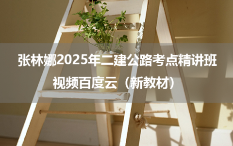 张林娜2025年二建公路考点精讲班视频百度云（新教材）