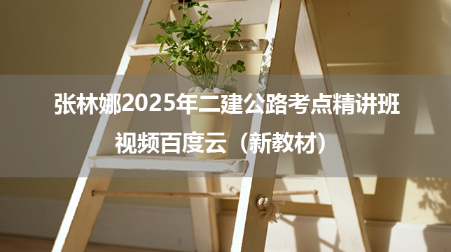 张林娜2025年二建公路考点精讲班视频百度云（新教材）