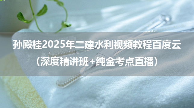 孙殿桂2025年二建水利（深度精讲班+纯金考点直播）视频教程百度云