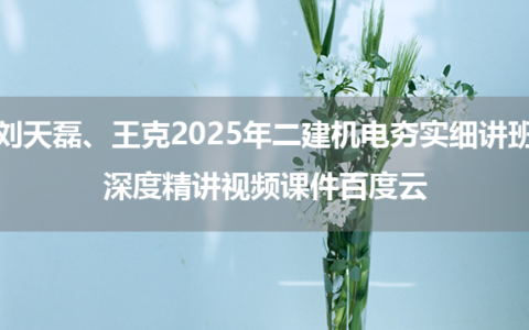 刘天磊、王克2025年二建机电夯实细讲班+深度精讲视频课件百度云