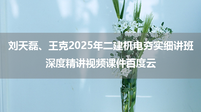 刘天磊、王克2025年二建机电夯实细讲班+深度精讲视频课件百度云