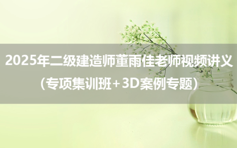 2025年二级建造师董雨佳老师视频讲义（专项集训班+3D案例专题）