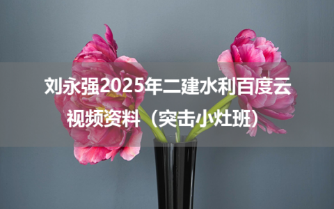 刘永强2025年二建水利百度云视频资料（突击小灶班）