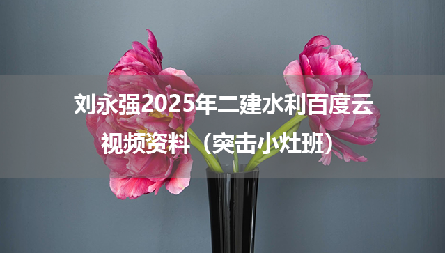 刘永强2025年二建水利百度云视频资料（突击小灶班）