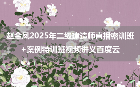 赵金凤2025年二级建造师直播密训班+案例特训班视频讲义百度云