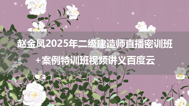 赵金凤2025年二级建造师直播密训班+案例特训班视频讲义百度云