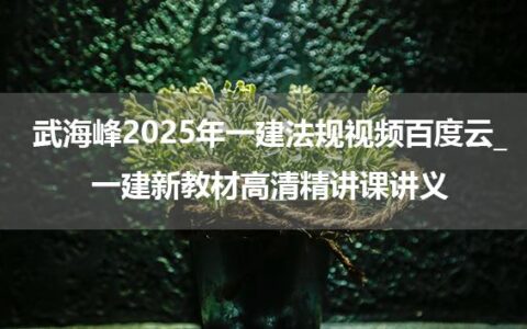 武海峰2025年一建法规视频百度云_一建新教材高清精讲课讲义