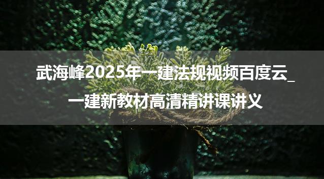 武海峰2025年一建法规视频百度云_一建新教材高清精讲课讲义