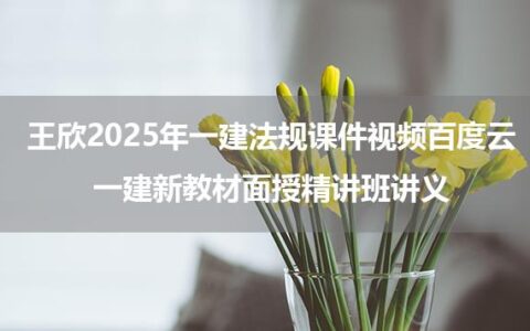 王欣2025年一建法规课件视频百度云_一建新教材面授精讲班讲义