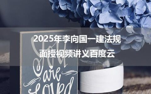 2025年李向国一建法规面授视频讲义百度云