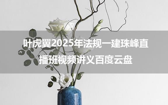 叶虎翼2025年法规一建珠峰直播班视频讲义百度云盘