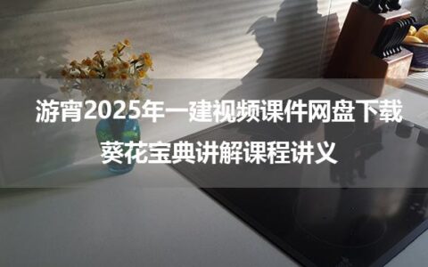 游宵2025年一建视频课件网盘下载_葵花宝典讲解课程讲义