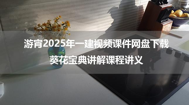 游宵2025年一建视频课件网盘下载_葵花宝典讲解课程讲义