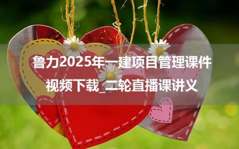 鲁力2025年一建项目管理课件视频下载_二轮直播课讲义