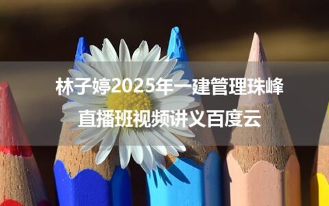 林子婷2025年一建管理珠峰直播班视频讲义百度云