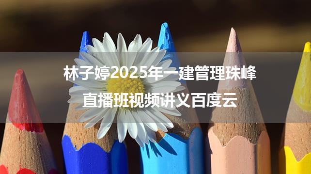 林子婷2025年一建管理珠峰直播班视频讲义百度云