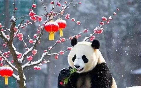 建造师考那么多专业真的有用吗？