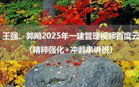 王强、郭飚2025年一建管理网课视频百度云（精粹强化+冲刺串讲班）
